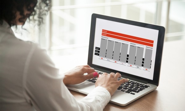 sfs group organizational chart screen